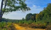 Excursión Senderismo Braine-Le-Comte - Marche Adeps à Hennuyères - Photo 6