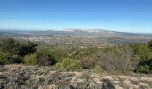 Randonnée Marche Pourrières - Pourcieux :Mont Olympe et Pas du Titet - Photo 8