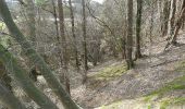 Excursión A pie Hamoir - Promenade 'Les Marlières et Filot' - Photo 6