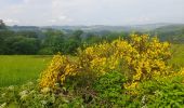 Tour Wandern Tellin - Marche ADEPS 10KM00 à  Bure. - Photo 9