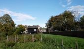 Tocht Te voet Bronckhorst - Rondje Oude IJssel - Photo 3