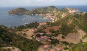 Tour Wandern Terre-de-Haut - Les Saintes - J2 - Photo 11