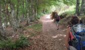 Trail Walking Saint-Flour-de-Mercoire - le chélard - Photo 3