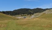 Trail Mountain bike Saint-Agnan-en-Vercors - Pré Peyret depuis la Coche - Photo 5