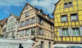 Randonnée Marche Colmar - balade découverte de Colmar  - Photo 7