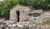 Trail Walking Bédoin - du chalet renard au sommet du ventoux - Photo 4