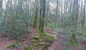 Trail Walking Camors - PR_56_Camors_CA_03_Tro-Bourk_Circuit1b_20240126 - Photo 3