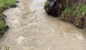 Tour Laufen Gerpinnes - Pluie et vent d’hiver - Photo 4