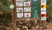 Tour Wandern Chaudfontaine - 20201210 - Embourg 7.8 Km - Photo 6