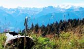 Trail Mountain bike Les Gets - Les Gets - Plateau de Loex - Parcours 2 plus long  17km - 600+ - Photo 1