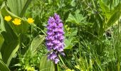 Trail Walking Entraunes - Cols de Sanguiniere et de la Baïssa - Photo 4