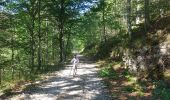 Trail Walking La Chaudière - Wikiloc Les Trois Becs (PVDB) - Photo 13