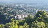 Tour Pfad Sainte-Tulle - La Réserve et le Clapier(14,5K 270D+) - Photo 1