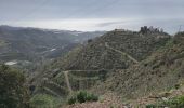 Trail Walking Sayalonga - Sayalonga  Pico de la Rabita - Photo 4