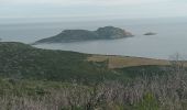 Tour Wandern La Croix-Valmer - Cap Lardier Cap Taillat-24-01-224 - Photo 5