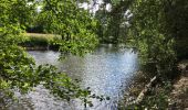 Tocht Stappen Rendeux - Arboretum et Ourthe  - Photo 1