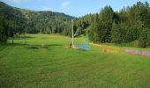 Percorso A piedi Sauris di Sotto - Sentieri e passeggiate a Sauris - Photo 5