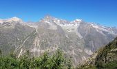 Excursión Senderismo La Chapelle-en-Valgaudémar - Les Lacs de Pétarel - Photo 2