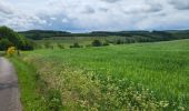 Tocht Stappen Houffalize - Engreux 080625 - Photo 1