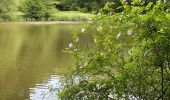 Trail Walking Jouy-en-Josas - Viltain - Photo 2
