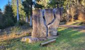 Tocht Stappen Lutzelhouse - Lutzelhouse - place des musiciens - sculptures - grotte du loup - cascade de Soulzbach - Porte de pierre - Photo 15