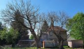 Tocht Te voet Märkische Heide - Wanderweg Barbassee-Briesener See-Caminchen-Klein Leine- Klein Leiner See - Photo 3