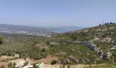 Trail Walking La Ciotat - Arche de la Ciotat  - Photo 15