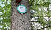 Tour Wandern Celles-sur-Plaine - celles sur plaine - Photo 15