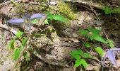 Trail Walking Le Bourg-d'Oisans - Bourg d'Oisans les cascades - Photo 9