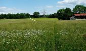 Tocht Te voet Gomadingen - Häringen - Neidlingen - Hepsisau - Photo 4