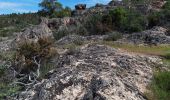 Tour Wandern Le Muy - Massif du Rouet-21-05-21 - Photo 4