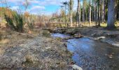 Tocht Stappen Trois-Ponts - Logbierme 280223 - Photo 7