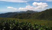 Tour Wandern Saint-Claude - La Soufrière - Photo 13