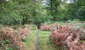 Tocht Stappen Orrouy - en Forêt de Compiègne_41_autour des Petits Monts - Photo 10