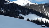 Percorso Racchette da neve Beaufort - Areches - Plan Villard - Photo 4