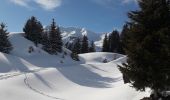 Percorso Racchette da neve Beaufort - Areches - Plan Villard - Photo 1