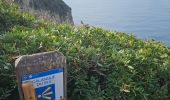 Tocht Stappen Hyères - Presqu'ile de Giens - Photo 6