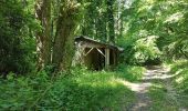 Trail Walking Lucy-le-Bocage - Lucy le Bocage du 15/05/2020 - Photo 3