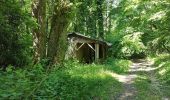 Percorso Marcia Lucy-le-Bocage - Lucy le Bocage du 15/05/2020 - Photo 3