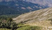 Tour Wandern Albertacce - lac de nino par la fontaine Caroline  - Photo 1