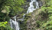 Trail Walking Killarney Municipal District - Muckross House and the Torc water falls - Photo 11