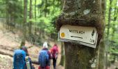 Trail Walking Sondernach - 2023-05-19 Marche Schnepfenried vers Lac du Fischboedle - Photo 5