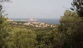 Trail Walking Monticello - boucle d'arbo - Photo 15