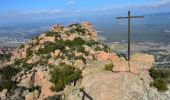Percorso Marcia Roquebrune-sur-Argens - Cimetière Roquebrune / Argens - La Maurette - 3 Croix - Grotte de l'Ermite - Photo 11