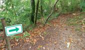 Excursión Senderismo Bort-les-Orgues - Barrage de Bort les Orgues - Château de Val - Photo 8