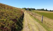 Tour Wandern Markirch - Col des Bagenelles et les deux Brézouard - Photo 6