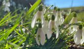 Tour Wandern Quévy - Givry sud 17 km - Photo 17