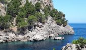 Excursión Senderismo Escorca - MAJORQUE - Torrent de Pareis - Photo 1