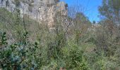 Trail  Ceyreste - CEYRESTE MP 04.24 - Photo 5