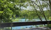 Trail Walking Stavelot - Coo Tour lac - Photo 10